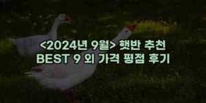 우니재의 알리알리 알리숑 - 40123 - 2024년 11월 22일 1