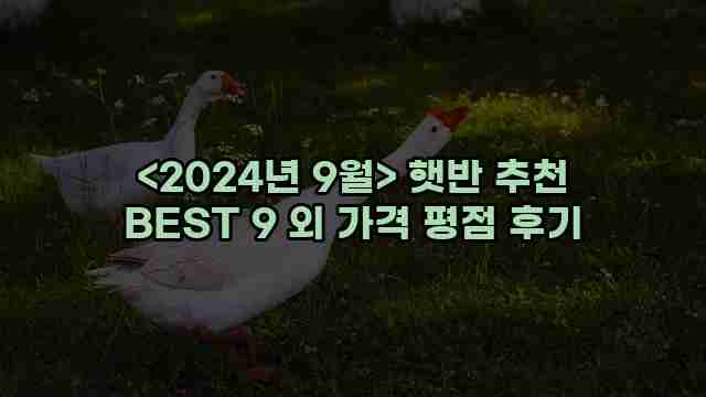 우니재의 알리알리 알리숑 - 40123 - 2024년 11월 22일 1