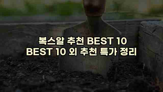  복스알 추천 BEST 10 BEST 10 외 추천 특가 정리