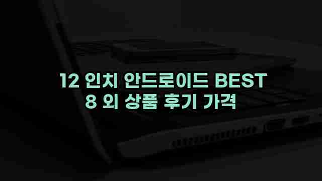  12 인치 안드로이드 BEST 8 외 상품 후기 가격