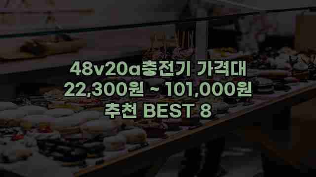 48v20a충전기 가격대 22,300원 ~ 101,000원 추천 BEST 8