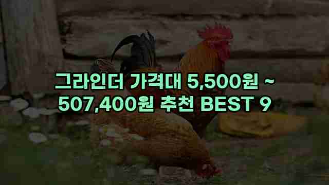 그라인더 가격대 5,500원 ~ 507,400원 추천 BEST 9