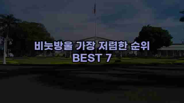 비눗방울 가장 저렴한 순위 BEST 7