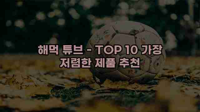 해먹 튜브 - TOP 10 가장 저렴한 제품 추천