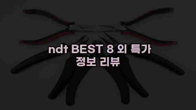  ndt BEST 8 외 특가 정보 리뷰