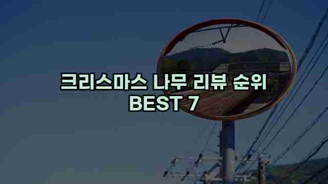 크리스마스 나무 리뷰 순위 BEST 7