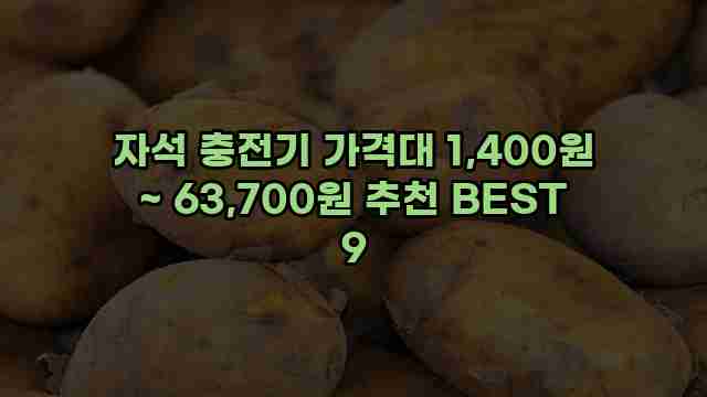 자석 충전기 가격대 1,400원 ~ 63,700원 추천 BEST 9