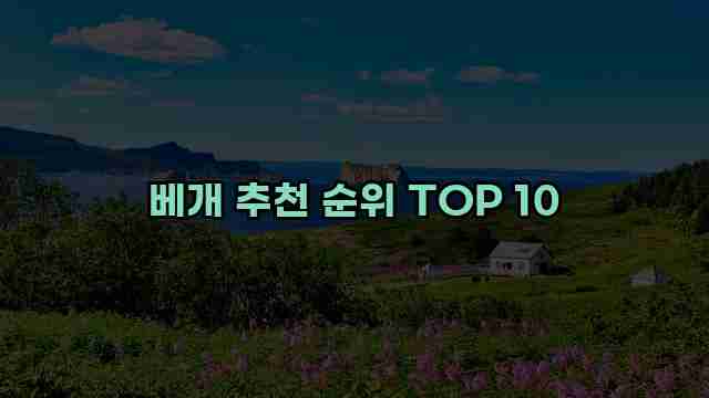 베개 추천 순위 TOP 10