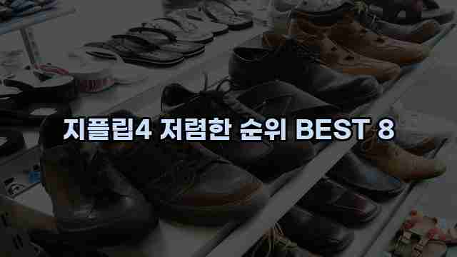 지플립4 저렴한 순위 BEST 8