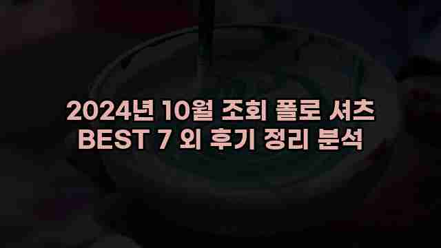 2024년 10월 조회 폴로 셔츠 BEST 7 외 후기 정리 분석