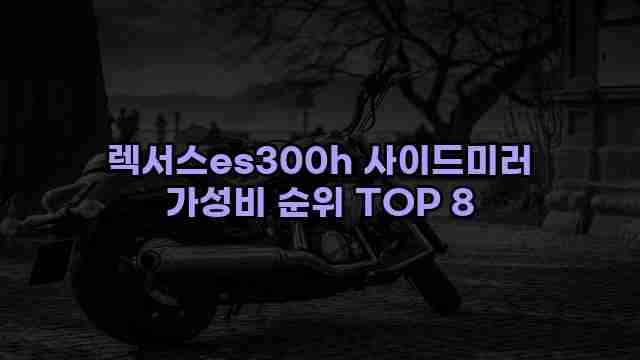 렉서스es300h 사이드미러 가성비 순위 TOP 8