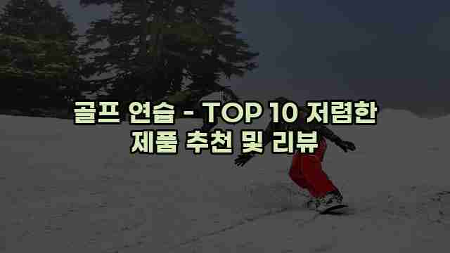 골프 연습 - TOP 10 저렴한 제품 추천 및 리뷰