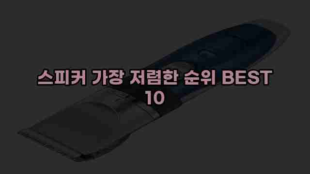 스피커 가장 저렴한 순위 BEST 10