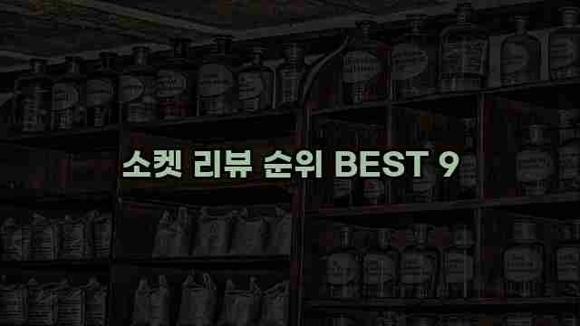 소켓 리뷰 순위 BEST 9