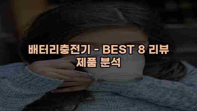 배터리충전기 - BEST 8 리뷰 제품 분석