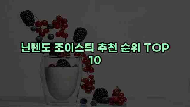 닌텐도 조이스틱 추천 순위 TOP 10