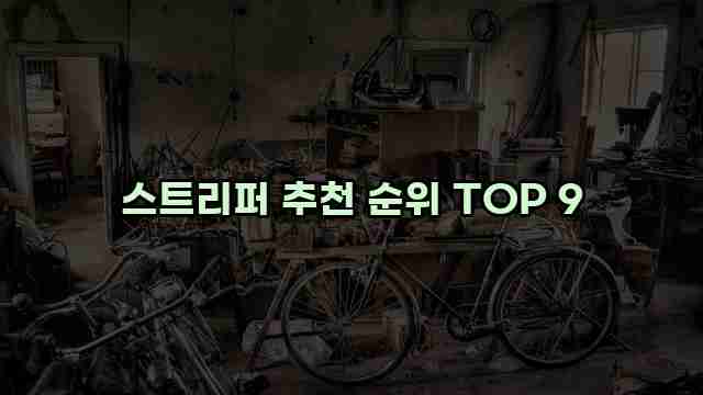 스트리퍼 추천 순위 TOP 9