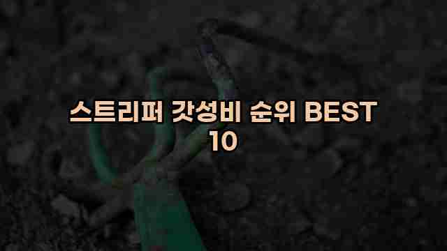 스트리퍼 갓성비 순위 BEST 10