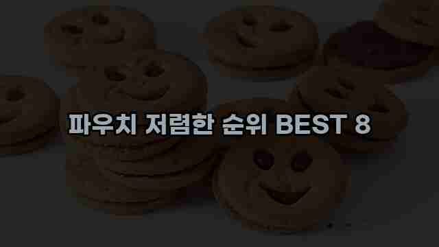 파우치 저렴한 순위 BEST 8