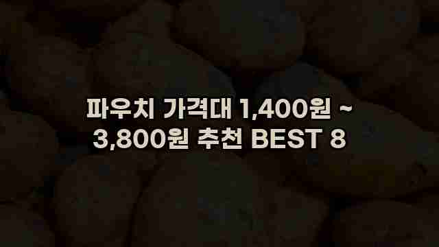 파우치 가격대 1,400원 ~ 3,800원 추천 BEST 8