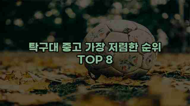 탁구대 중고 가장 저렴한 순위 TOP 8