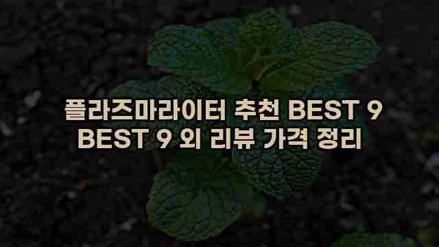  플라즈마라이터 추천 BEST 9 BEST 9 외 리뷰 가격 정리