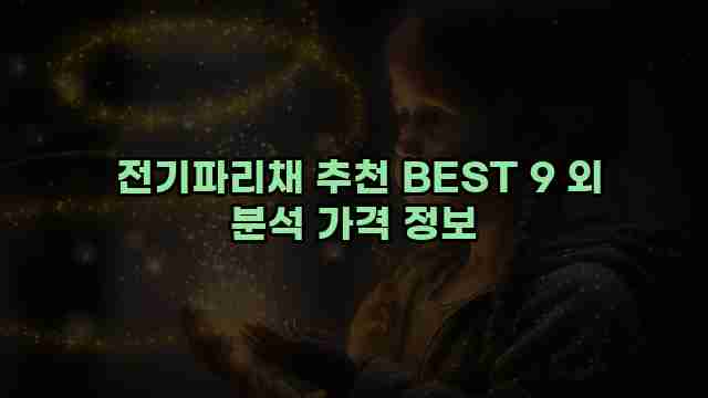  전기파리채 추천 BEST 9 외 분석 가격 정보