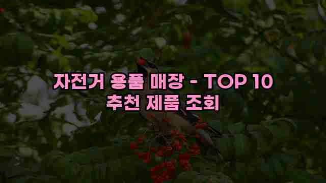 자전거 용품 매장 - TOP 10 추천 제품 조회