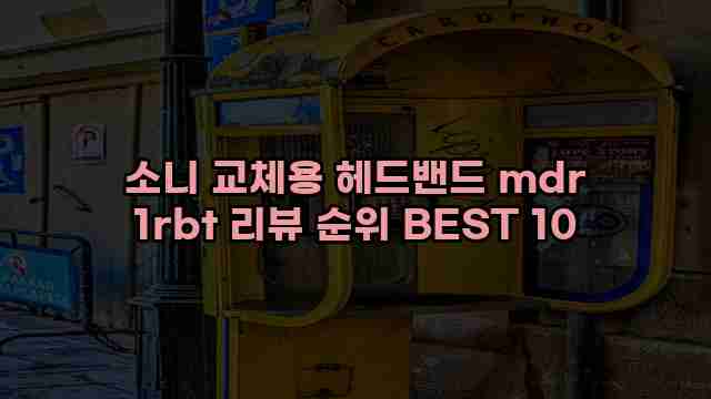 소니 교체용 헤드밴드 mdr 1rbt 리뷰 순위 BEST 10