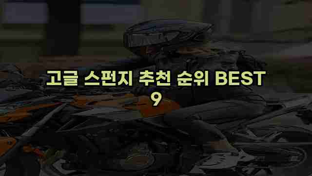 고글 스펀지 추천 순위 BEST 9