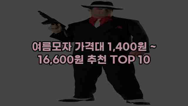 여름모자 가격대 1,400원 ~ 16,600원 추천 TOP 10