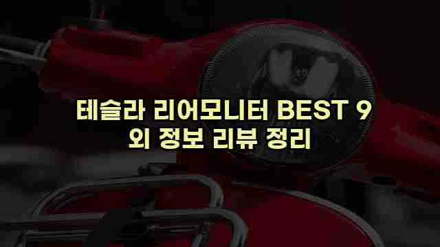  테슬라 리어모니터 BEST 9 외 정보 리뷰 정리