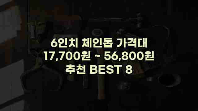 6인치 체인톱 가격대 17,700원 ~ 56,800원 추천 BEST 8