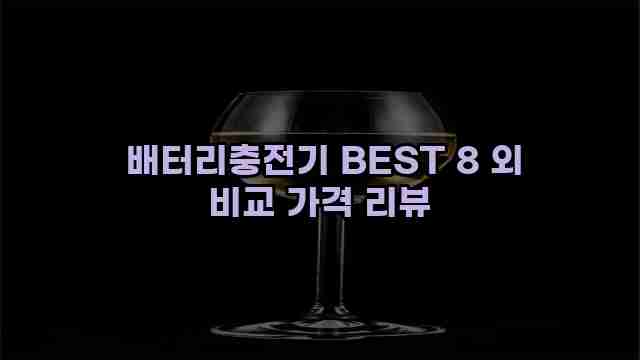  배터리충전기 BEST 8 외 비교 가격 리뷰