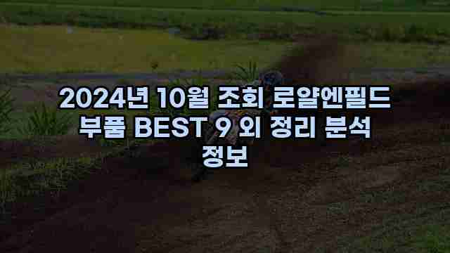 2024년 10월 조회 로얄엔필드 부품 BEST 9 외 정리 분석 정보