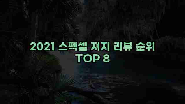 2021 스펙셀 져지 리뷰 순위 TOP 8