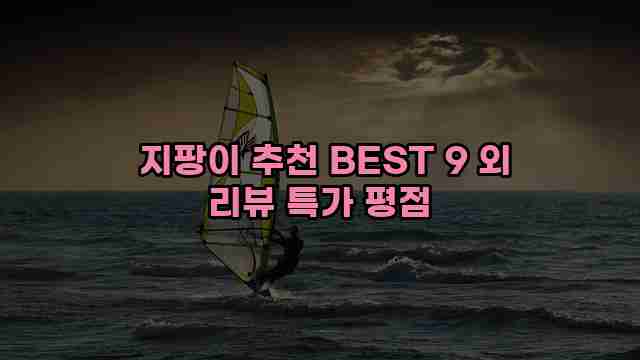  지팡이 추천 BEST 9 외 리뷰 특가 평점