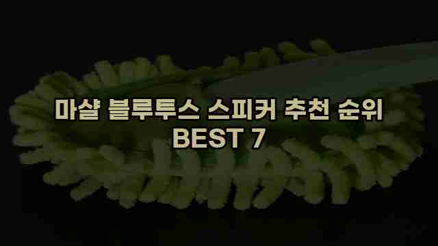 마샬 블루투스 스피커 추천 순위 BEST 7