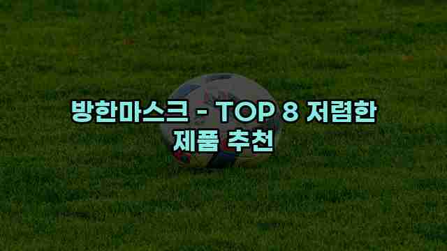 방한마스크 - TOP 8 저렴한 제품 추천