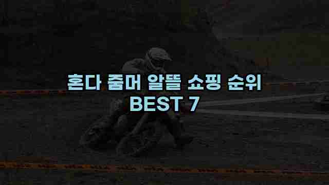 혼다 줌머 알뜰 쇼핑 순위 BEST 7