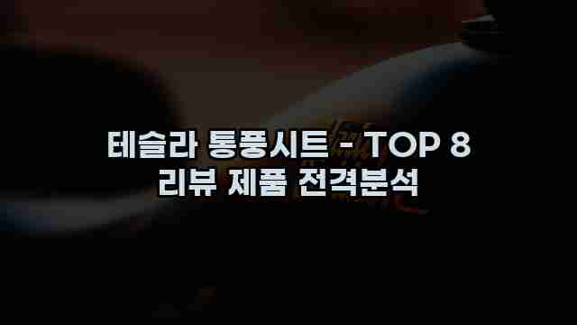 테슬라 통풍시트 - TOP 8 리뷰 제품 전격분석