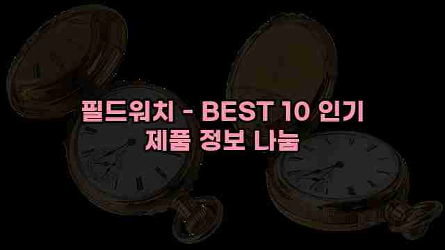 필드워치 - BEST 10 인기 제품 정보 나눔