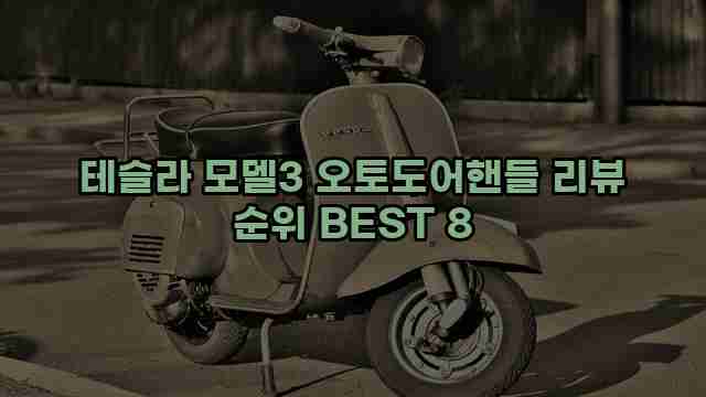 테슬라 모델3 오토도어핸들 리뷰 순위 BEST 8