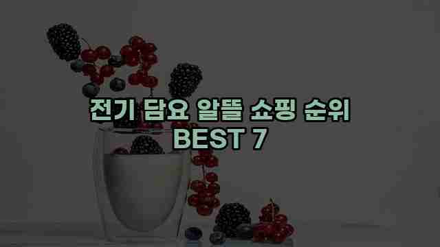 전기 담요 알뜰 쇼핑 순위 BEST 7