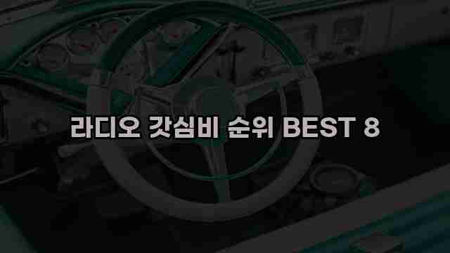 라디오 갓심비 순위 BEST 8