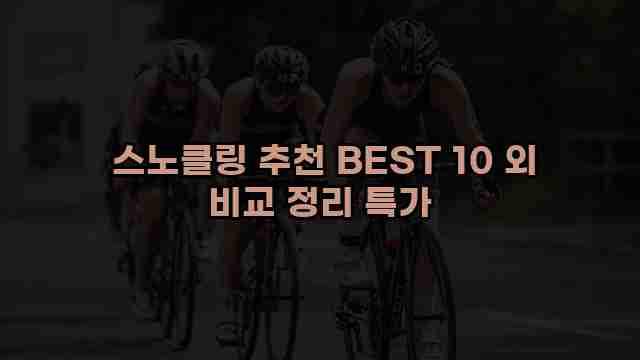  스노클링 추천 BEST 10 외 비교 정리 특가