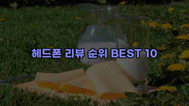 헤드폰 리뷰 순위 BEST 10