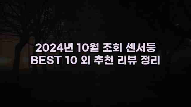 2024년 10월 조회 센서등 BEST 10 외 추천 리뷰 정리