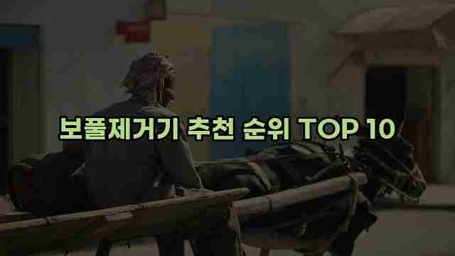 보풀제거기 추천 순위 TOP 10