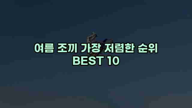 여름 조끼 가장 저렴한 순위 BEST 10